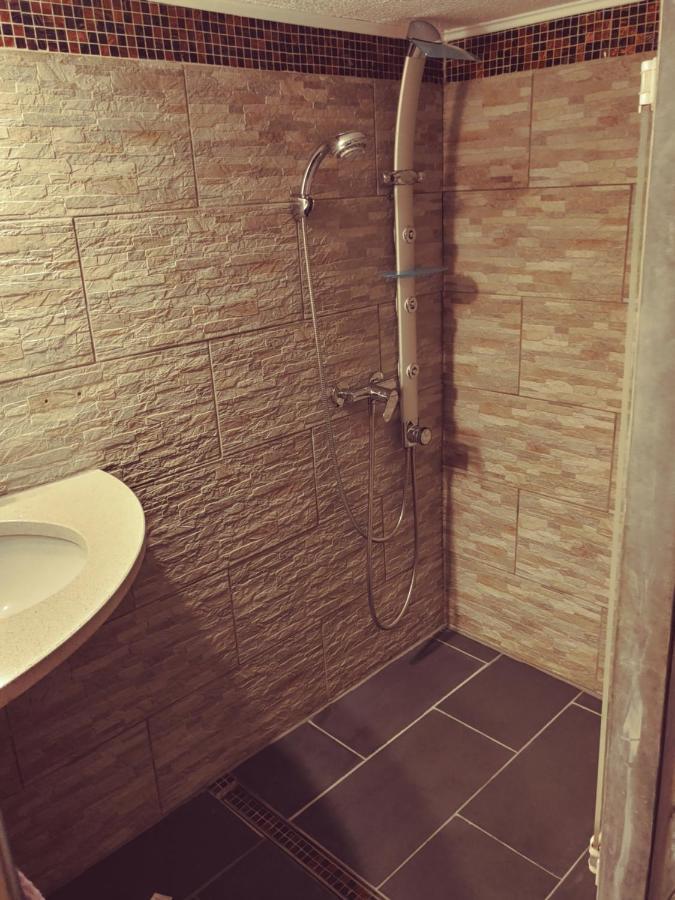 Appartment De Luxe Mit Sauna Брауншвейг Екстер'єр фото